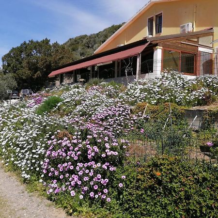 Il Lentischio Cala Sapone Exterior foto