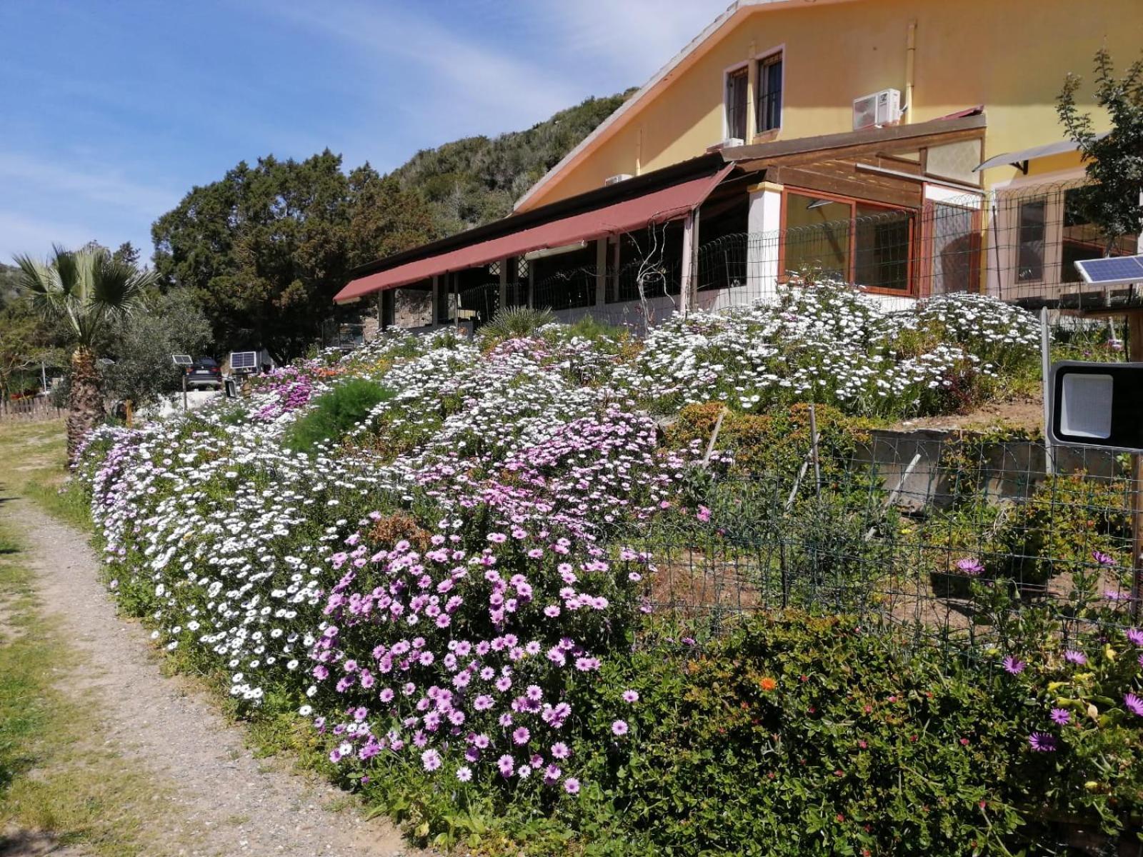 Il Lentischio Cala Sapone Exterior foto